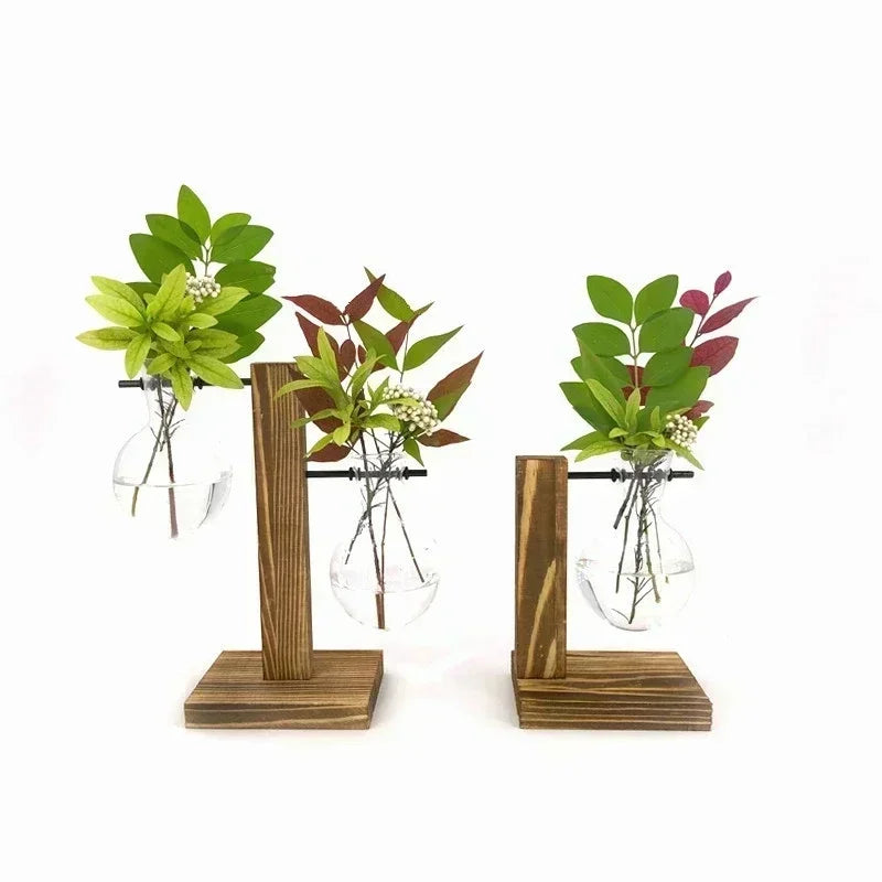 Vintage Hydroponic Terrarium Vase with Wooden Frame