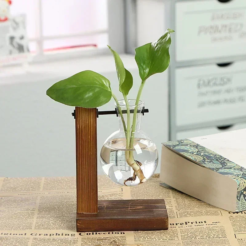 Vintage Hydroponic Terrarium Vase with Wooden Frame